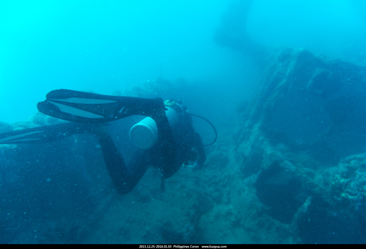 2015.12.25-2016.01.03 菲律宾 科隆 潜水之旅 - 急冲人鱼 - 若批评不自由，则赞美无意义。