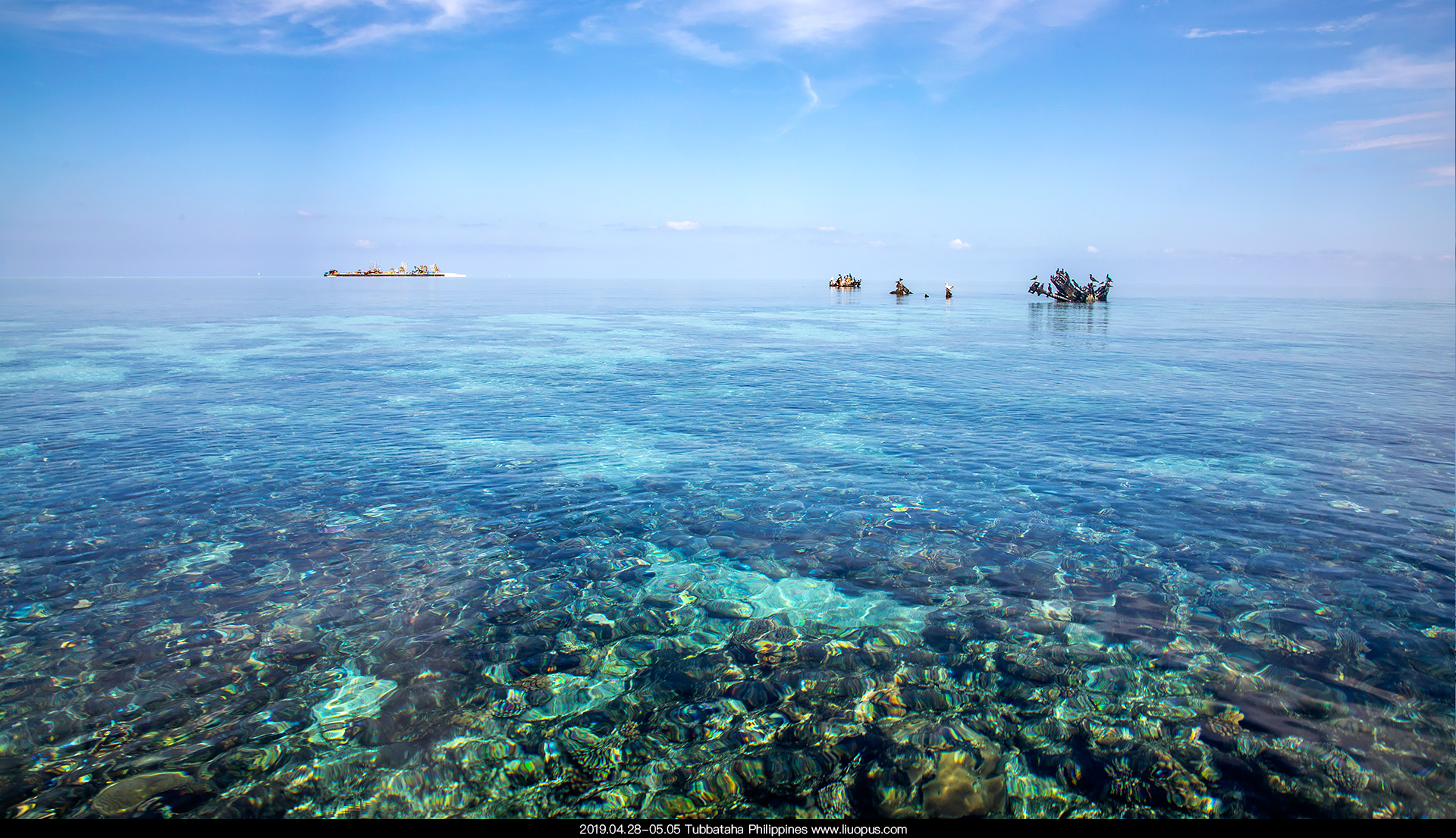 图巴塔哈、图巴塔哈群礁Tubbataha Reef Natural Park - 2022全球潜水胜地推荐